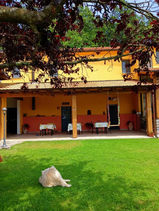 Sesta Godano Terra Del Bosco Agriturismo מראה חיצוני תמונה