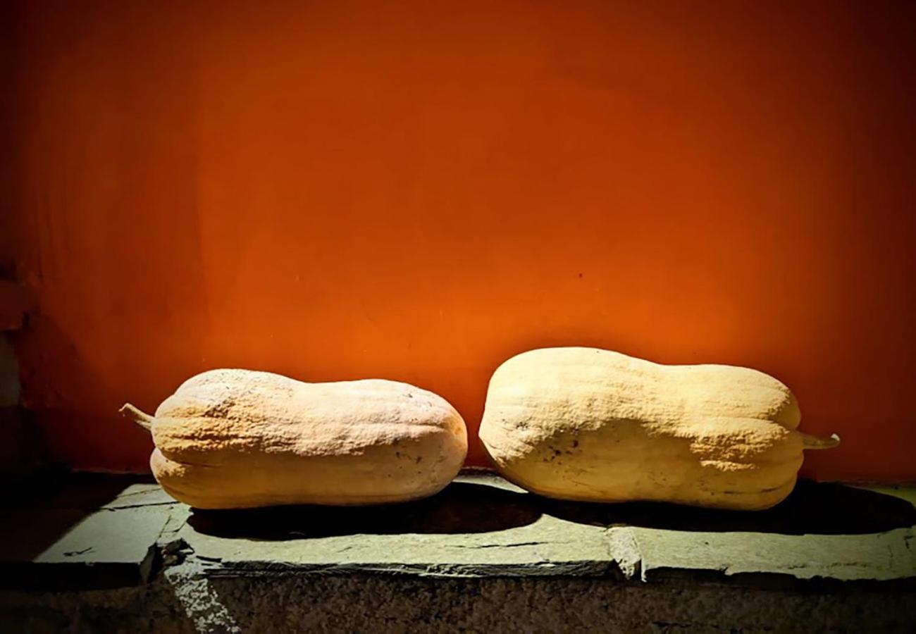 Sesta Godano Terra Del Bosco Agriturismo מראה חיצוני תמונה