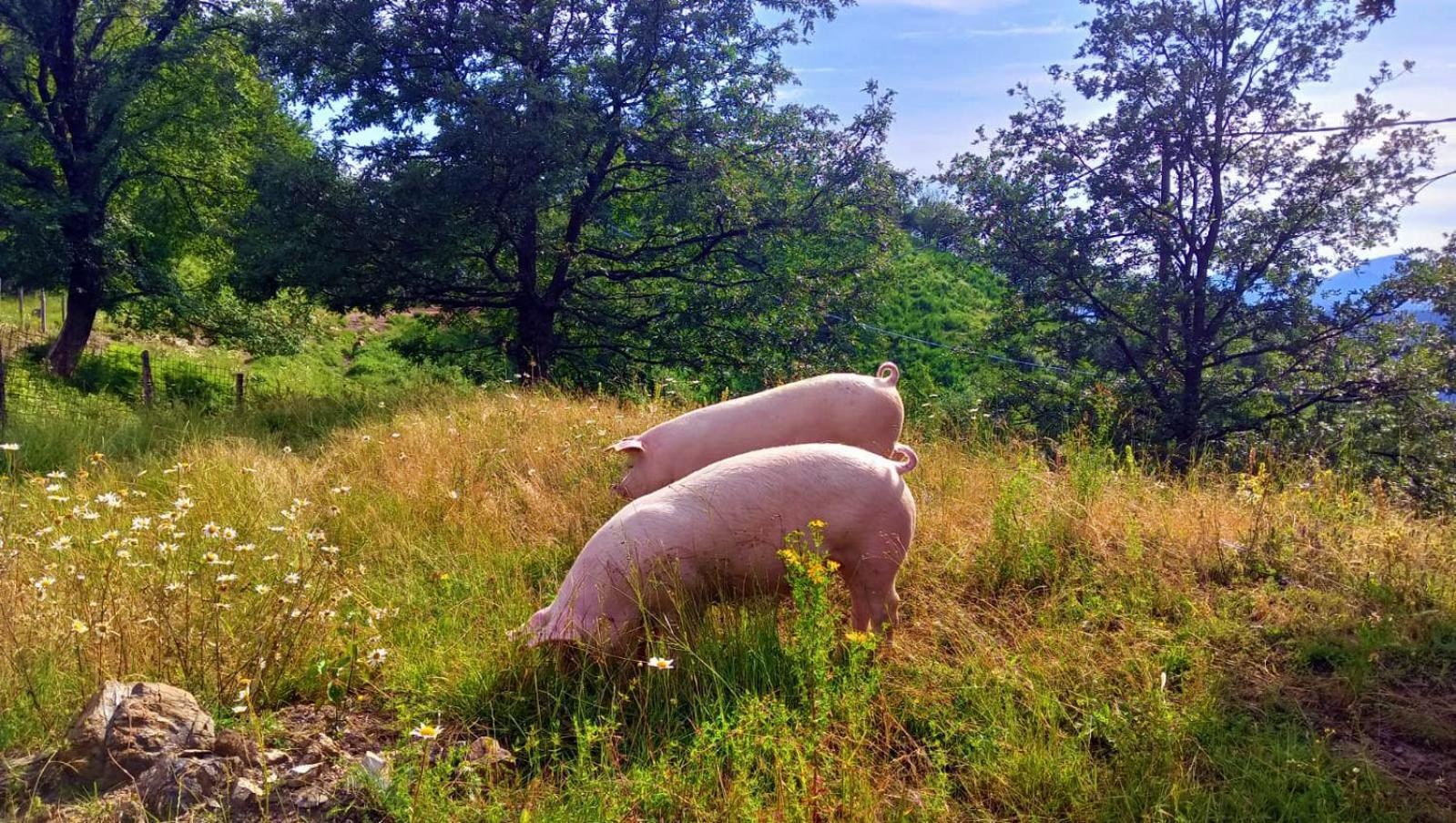 Sesta Godano Terra Del Bosco Agriturismo מראה חיצוני תמונה