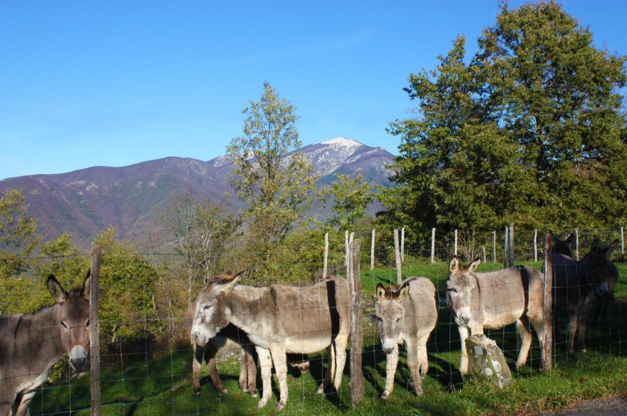 Sesta Godano Terra Del Bosco Agriturismo מראה חיצוני תמונה